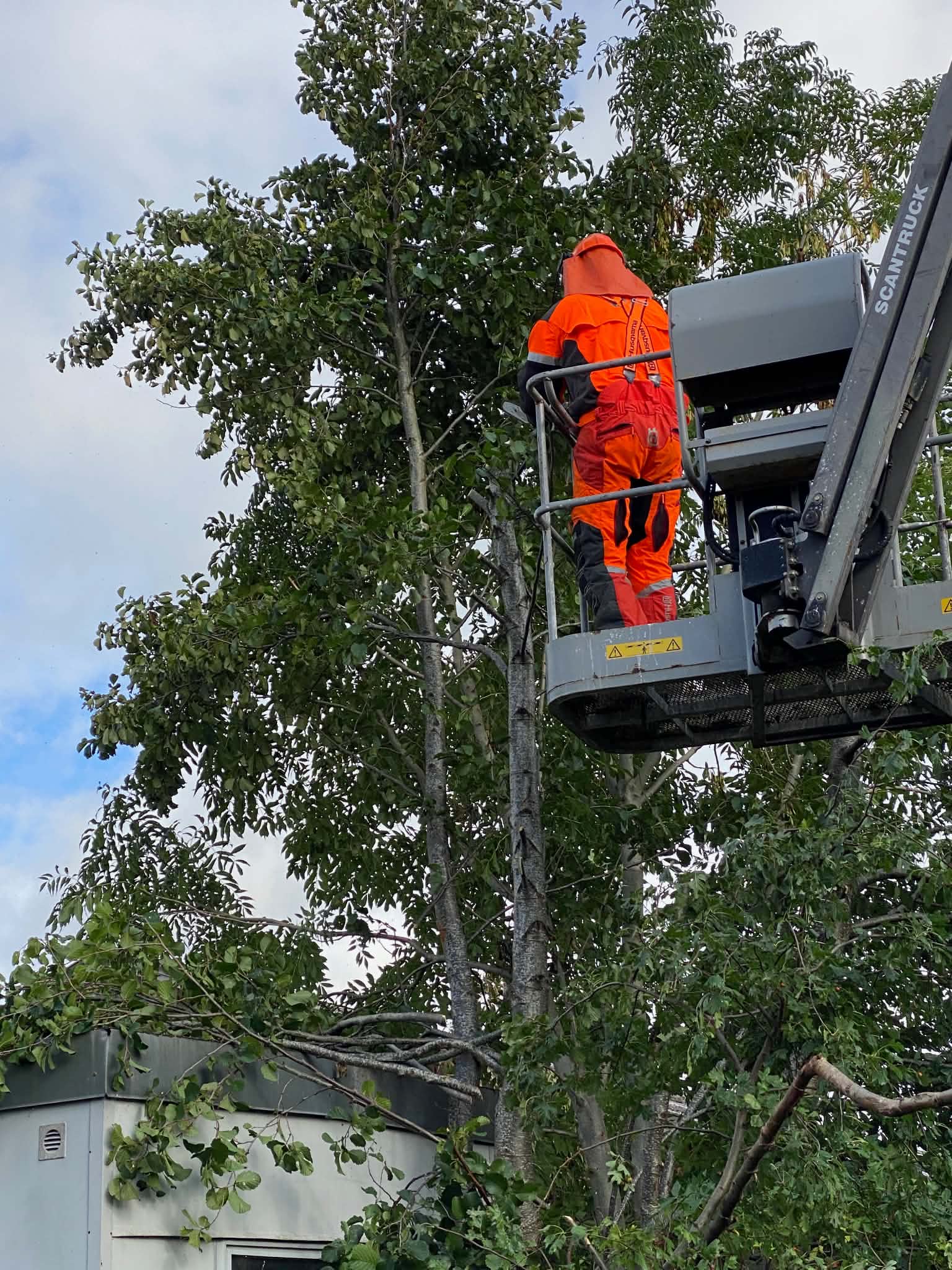 Liftarbejde i træ