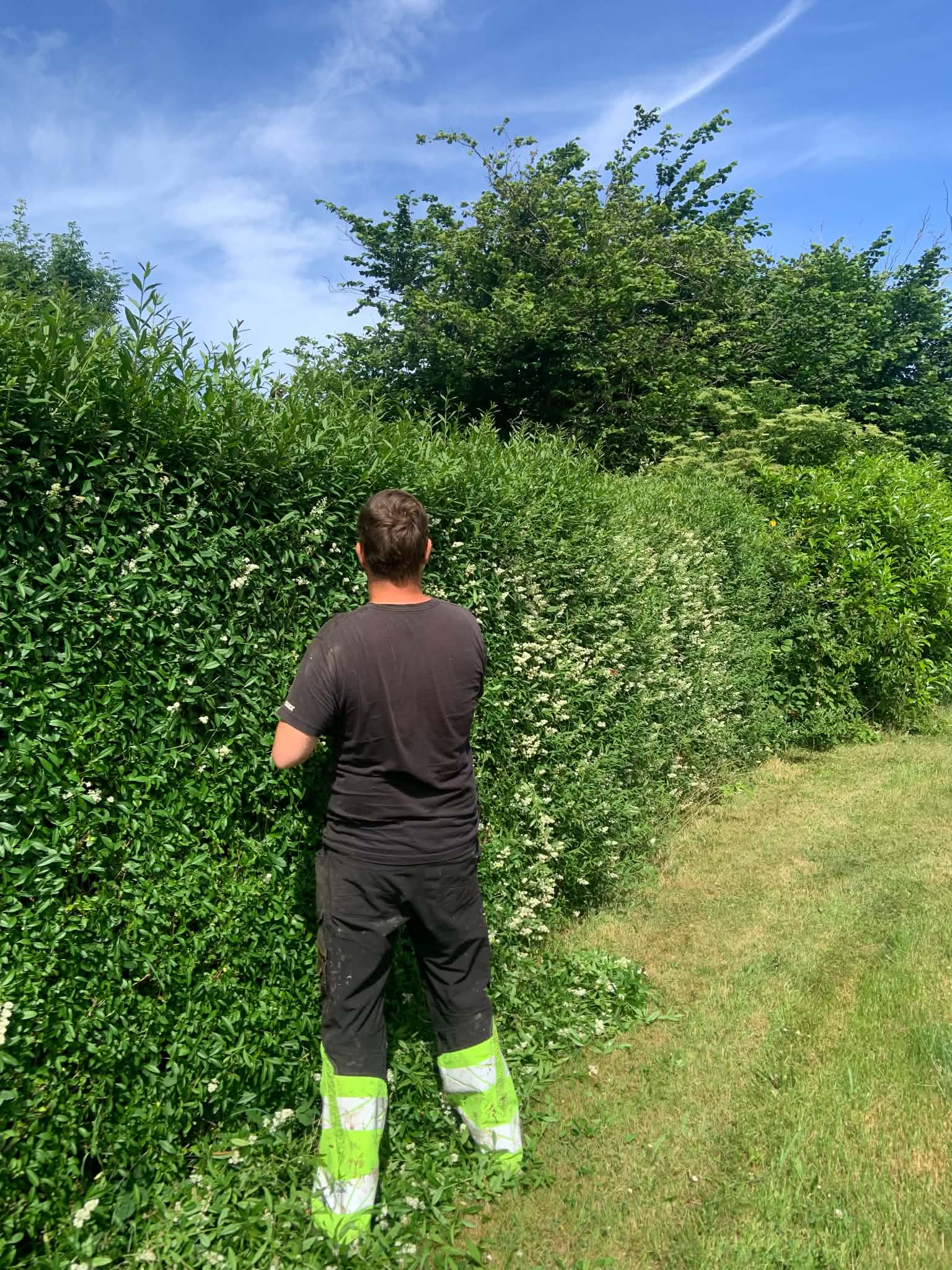 Hæk- og grønt arbejde