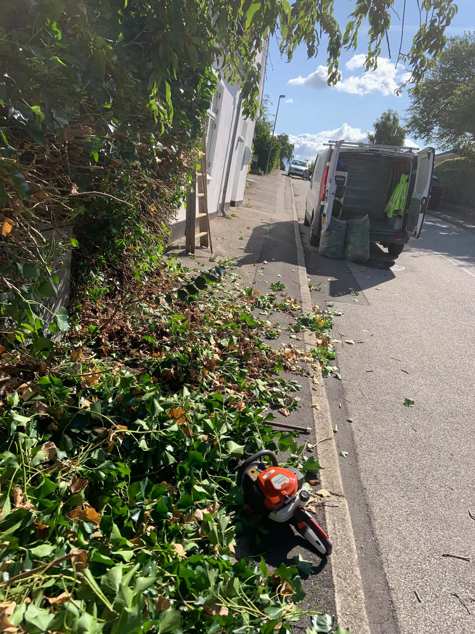 Hæk- og rydningsarbejde