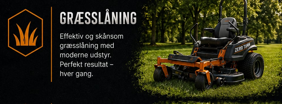 Græsslåning